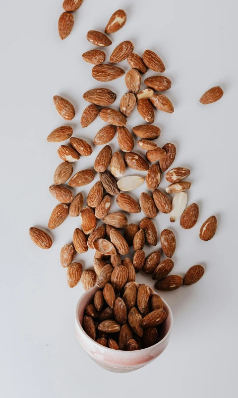 Almonds friut2